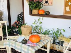 -杭州植物园
