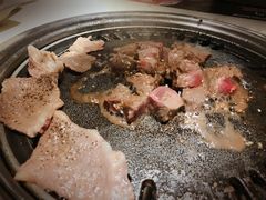 -猫爪爪原切自助烤肉(观音桥阳光世纪店)