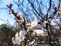 -长春市南湖公园