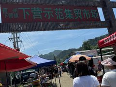 -示范集贸市场