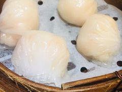 -添好运点心专门店(北角店)