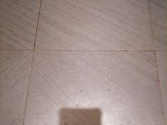 -老绥元烧麦·家常菜(大召店)