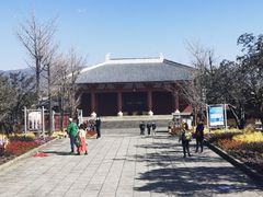 -三塔倒影公园