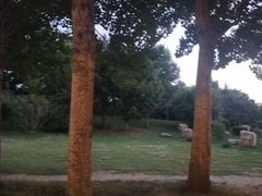 -长春公园(普阳街道)