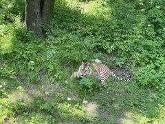 -哈尔滨北方森林动物园