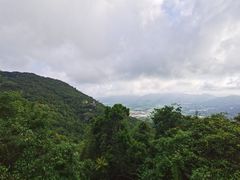 -三亚亚龙湾人间天堂鸟巢度假村