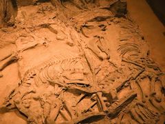 -北京大葆台遗址博物馆