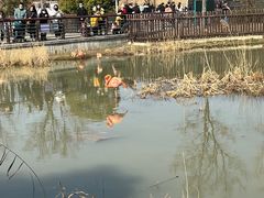 -苏州上方山国家森林公园