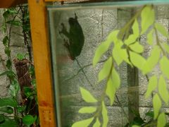-上海大自然野生昆虫馆