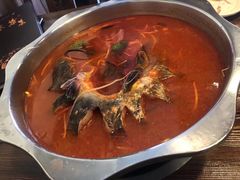 贵州酸汤鱼锅底-芦苇荡·酸汤鱼(回龙观店)