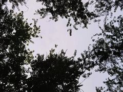 -仁和公园(顺义区)