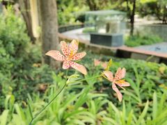 -广州神农草堂中医药博物馆