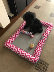 -杉惠素颜美妆皮肤管理中心