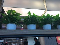 -肯德基(高州店)