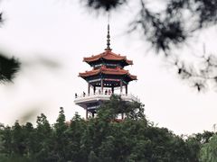 景点-龙沙公园