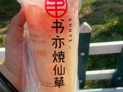 葡萄柚益菌多-书亦烧仙草(五泉广场店)
