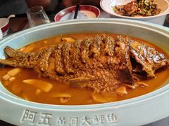 -阿五黄河大鲤鱼(建业路店)