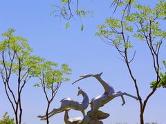 -广富林郊野公园