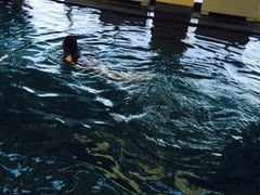 -海河假日酒店·游泳馆