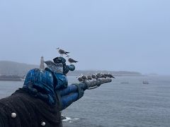 -大连老虎滩海洋公园