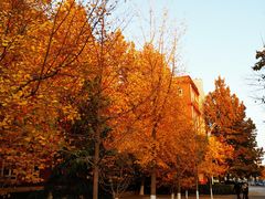 -北京市海淀外国语实验学校