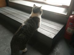 -IFIF 如果花園(宽厚里店)
