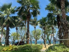 -大梅沙海滨公园
