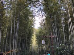 -天目湖涵田度假村