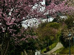 -龟山风景区-龟山电视塔