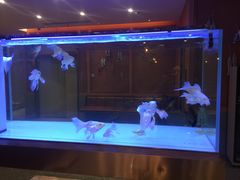 -黄鱼炙夜(华家池店)