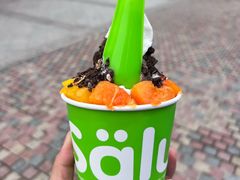 -Salud撒露欧洲冻酸奶(蓝色港湾店)