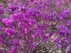 -哈尔滨师范大学(松北校区)