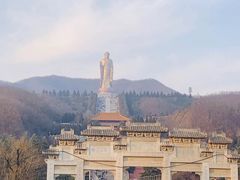 -中原大佛景区
