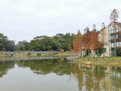 -东莞植物园