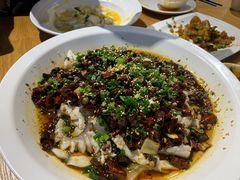 黑鱼花-三猫黑鱼花(南大店)