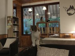 -隅cafe(傅厚岗店)