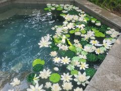 -清远熹乐谷温泉度假酒店