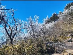 -安吉龙王山风景区