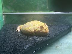 -上海昆虫博物馆