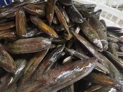 -八仔大富楼·河鲜(西江店)