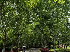 -宜兴龙背山森林公园