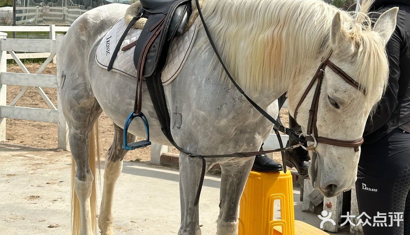 不愧是藏在山里的团建好去处啊[OK]