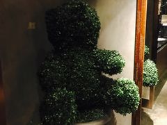 -蝴蝶汇音乐酒馆(罗湖店)