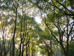 -嘉北郊野公园