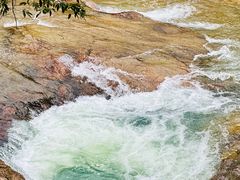 -广州白江湖森林公园