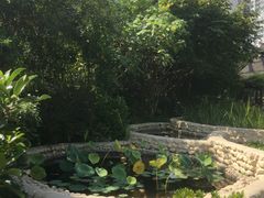 -活水公园