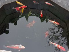 -西安市广仁寺