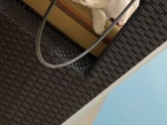 -lincat·猫舍(广州店)
