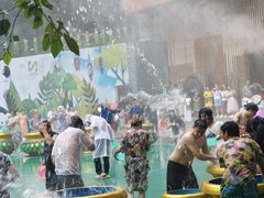 -西双版纳原始森林公园