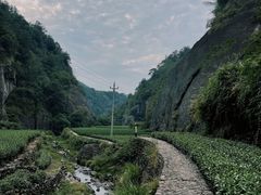 -十九峰景区-倒脱靴